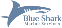 Blue shark marine